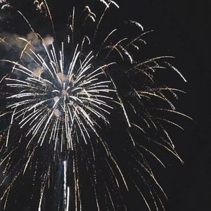 天天日本美女BB彐
