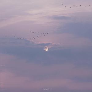 暗黑 猎奇(官网)
